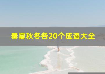 春夏秋冬各20个成语大全