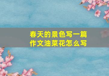 春天的景色写一篇作文油菜花怎么写