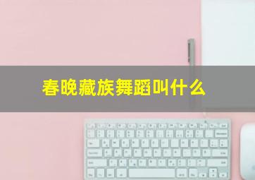 春晚藏族舞蹈叫什么