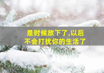 是时候放下了,以后不会打扰你的生活了