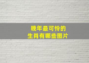 晚年最可怜的生肖有哪些图片