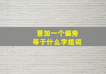 普加一个偏旁等于什么字组词