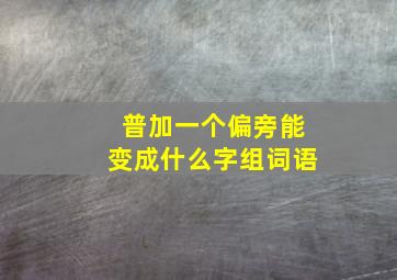 普加一个偏旁能变成什么字组词语