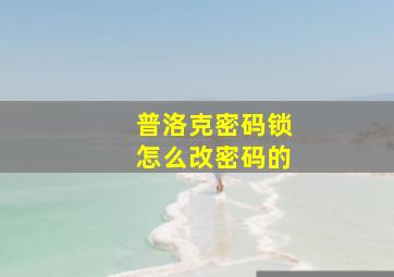 普洛克密码锁怎么改密码的