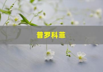 普罗科菲