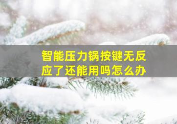 智能压力锅按键无反应了还能用吗怎么办