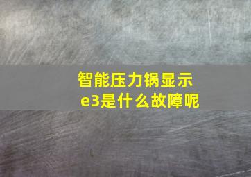 智能压力锅显示e3是什么故障呢