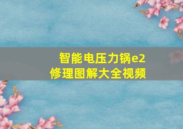 智能电压力锅e2修理图解大全视频