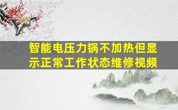 智能电压力锅不加热但显示正常工作状态维修视频