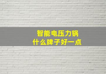 智能电压力锅什么牌子好一点