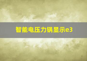 智能电压力锅显示e3