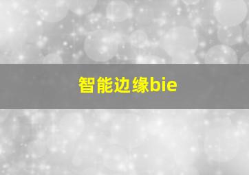 智能边缘bie