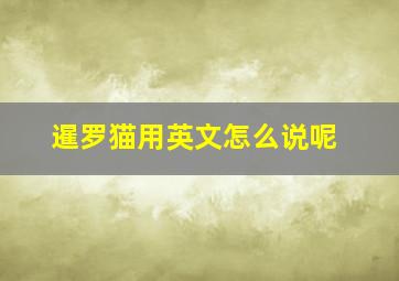 暹罗猫用英文怎么说呢