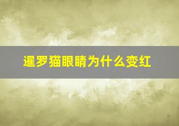 暹罗猫眼睛为什么变红