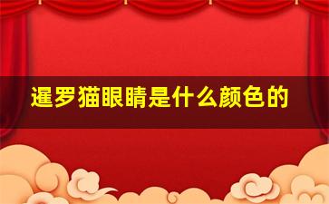 暹罗猫眼睛是什么颜色的