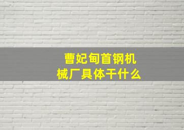 曹妃甸首钢机械厂具体干什么