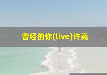 曾经的你(live)许巍