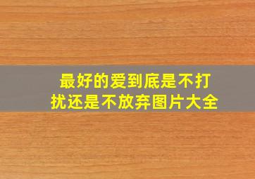 最好的爱到底是不打扰还是不放弃图片大全