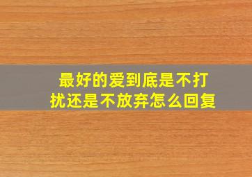 最好的爱到底是不打扰还是不放弃怎么回复