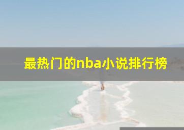 最热门的nba小说排行榜