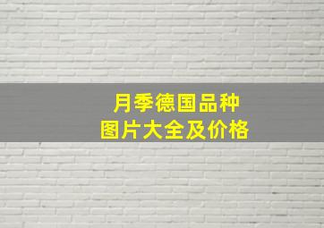 月季德国品种图片大全及价格