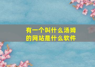 有一个叫什么汤姆的网站是什么软件