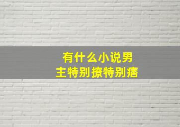 有什么小说男主特别撩特别痞