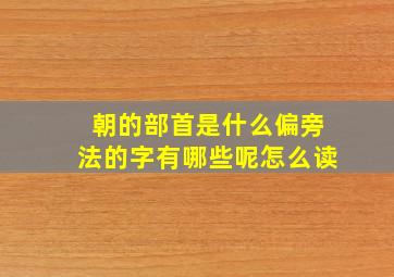 朝的部首是什么偏旁法的字有哪些呢怎么读