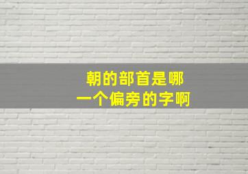 朝的部首是哪一个偏旁的字啊