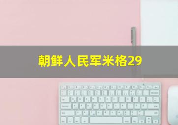 朝鲜人民军米格29