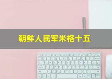 朝鲜人民军米格十五