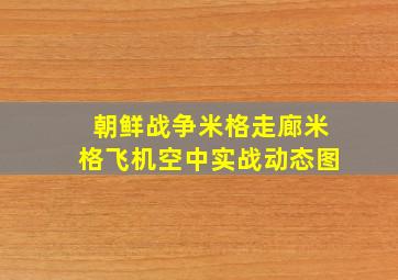 朝鲜战争米格走廊米格飞机空中实战动态图