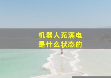 机器人充满电是什么状态的