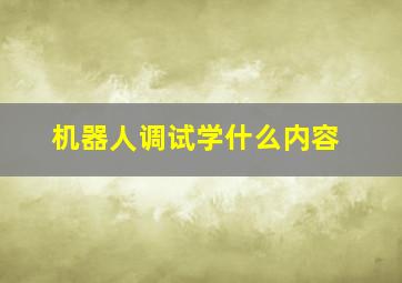 机器人调试学什么内容