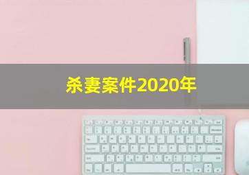 杀妻案件2020年