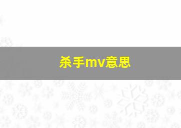 杀手mv意思