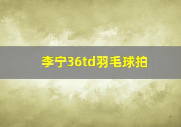 李宁36td羽毛球拍