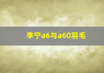 李宁a6与a60羽毛