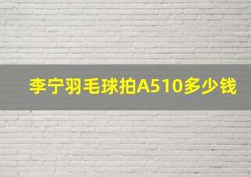 李宁羽毛球拍A510多少钱