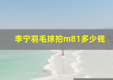 李宁羽毛球拍m81多少钱