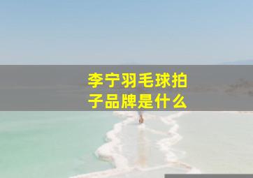 李宁羽毛球拍子品牌是什么