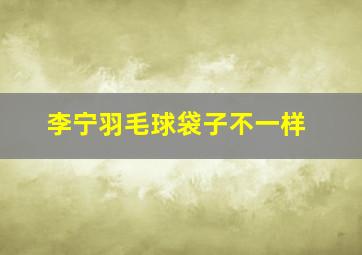 李宁羽毛球袋子不一样