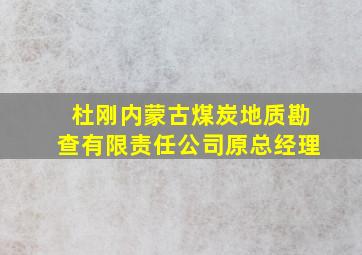 杜刚内蒙古煤炭地质勘查有限责任公司原总经理