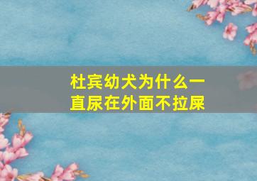 杜宾幼犬为什么一直尿在外面不拉屎