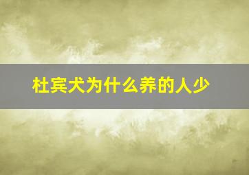 杜宾犬为什么养的人少