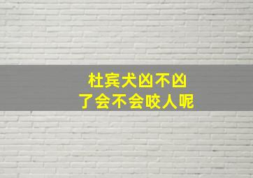 杜宾犬凶不凶了会不会咬人呢