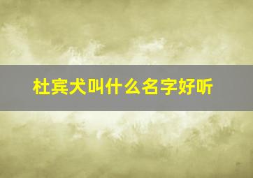 杜宾犬叫什么名字好听