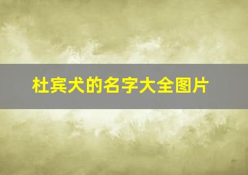 杜宾犬的名字大全图片