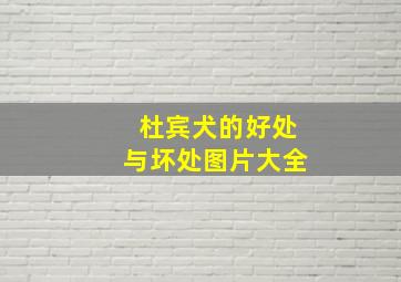 杜宾犬的好处与坏处图片大全