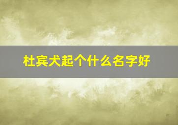 杜宾犬起个什么名字好